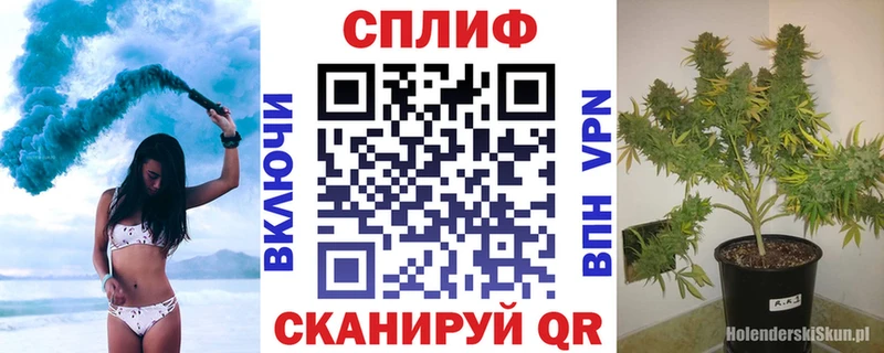 Бошки Шишки планчик Белинский